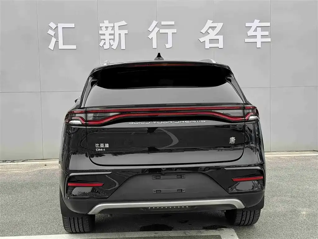 BYD Tang New Energy — фото 4