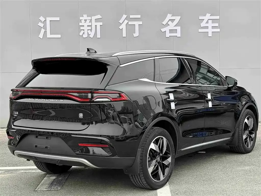 BYD Tang New Energy — фото 5