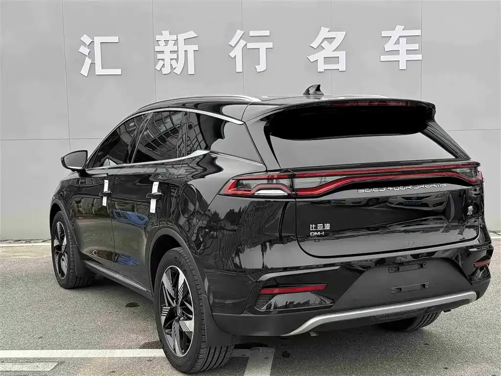 BYD Tang New Energy — фото 6