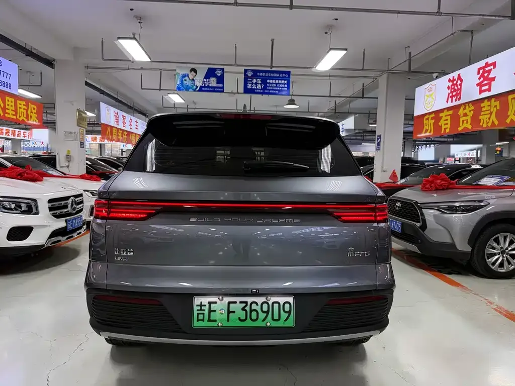 BYD Pro New Energy — фото 5
