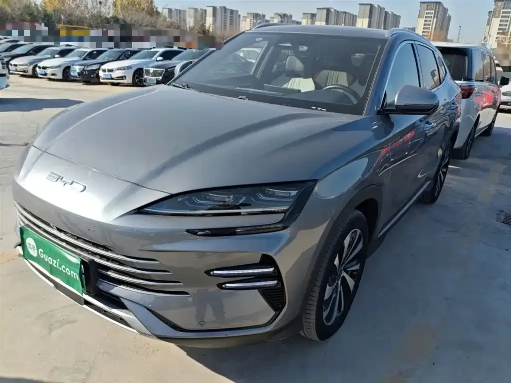 BYD PLUS New Energy — фото 1