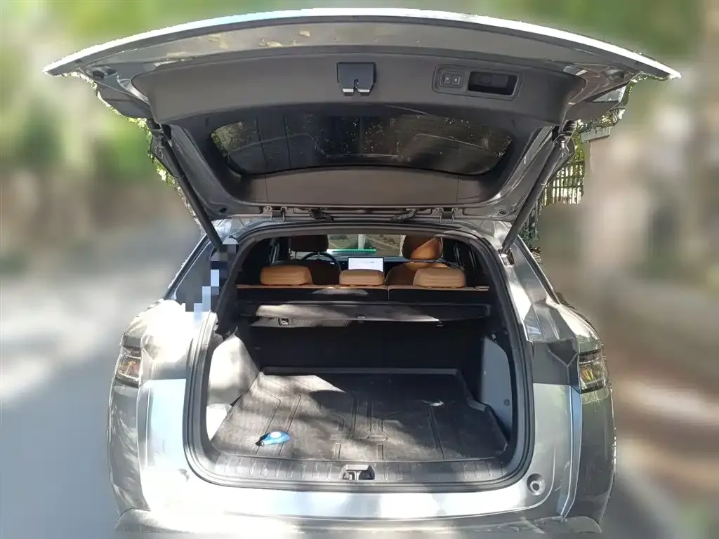 BYD L DM-i — фото 10
