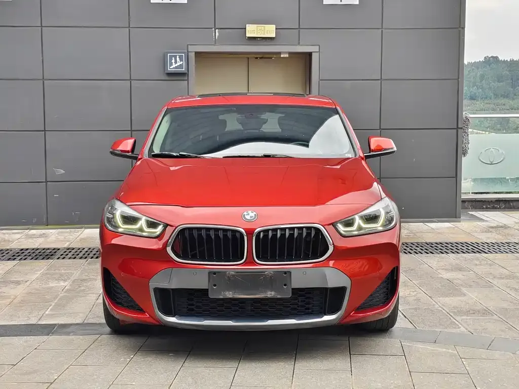 BMW X2 — фото 2