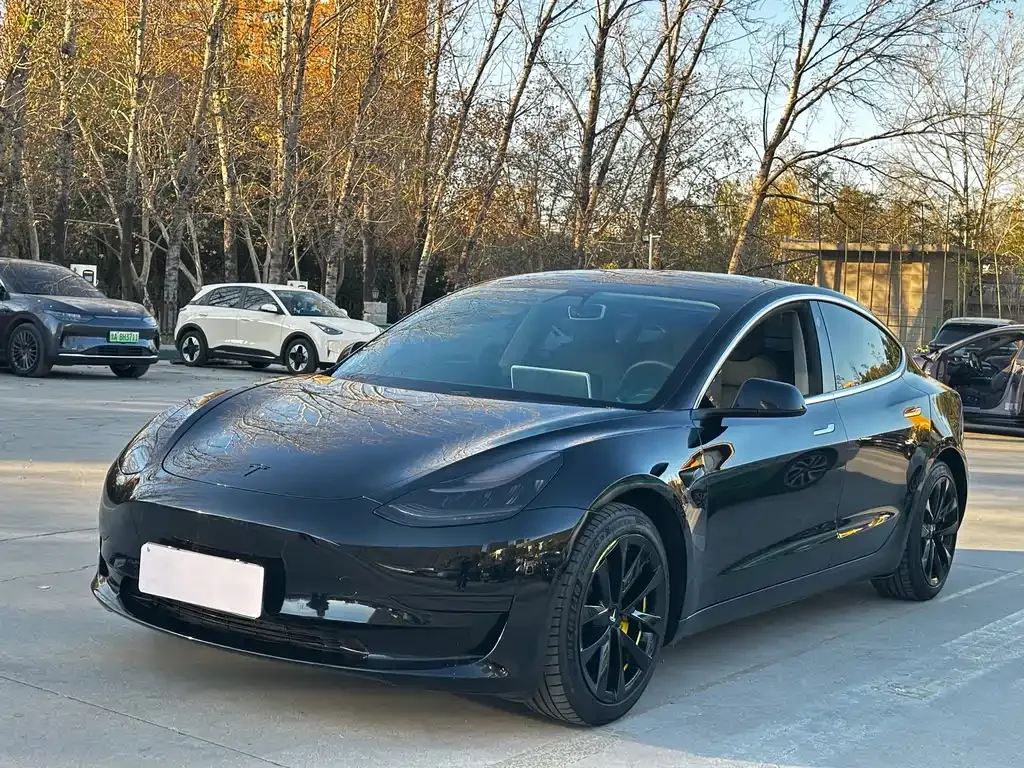 Tesla Model 3 — фото 1