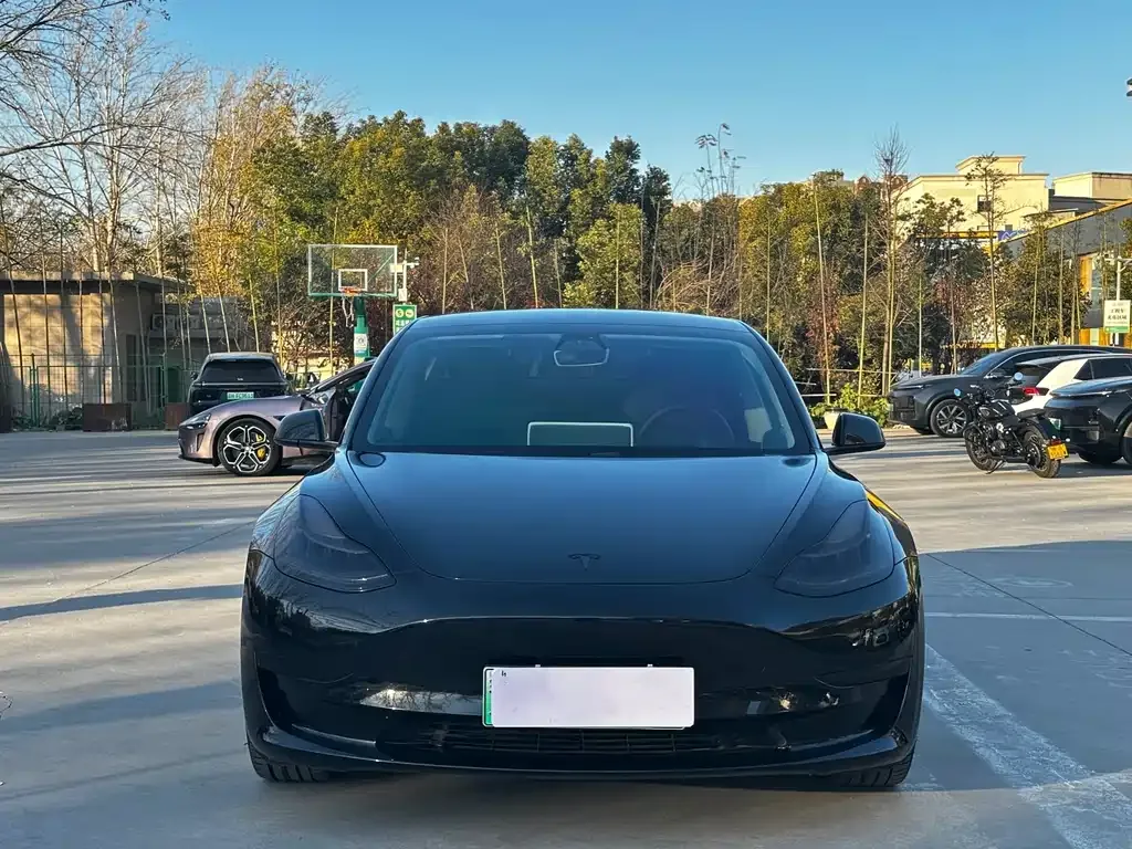 Tesla Model 3 — фото 2