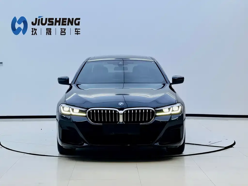 BMW 5 Series New Energy — фото 2