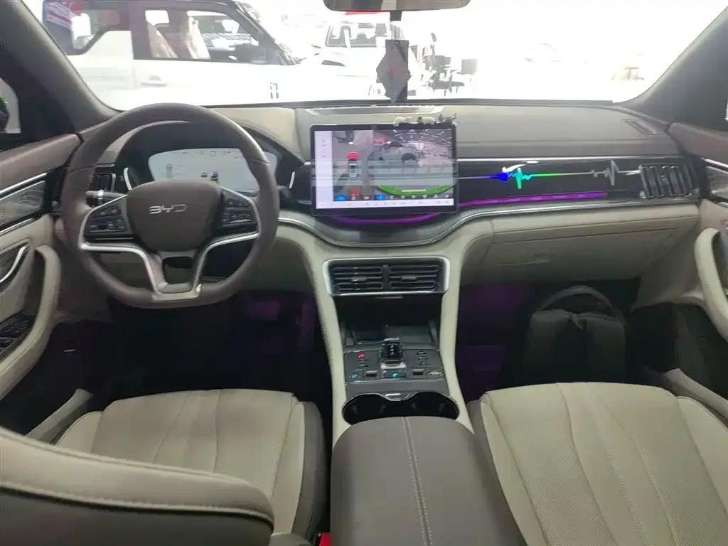 BYD PLUS New Energy — фото 10