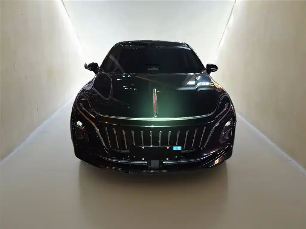 Hongqi E-QM5 — фото 3