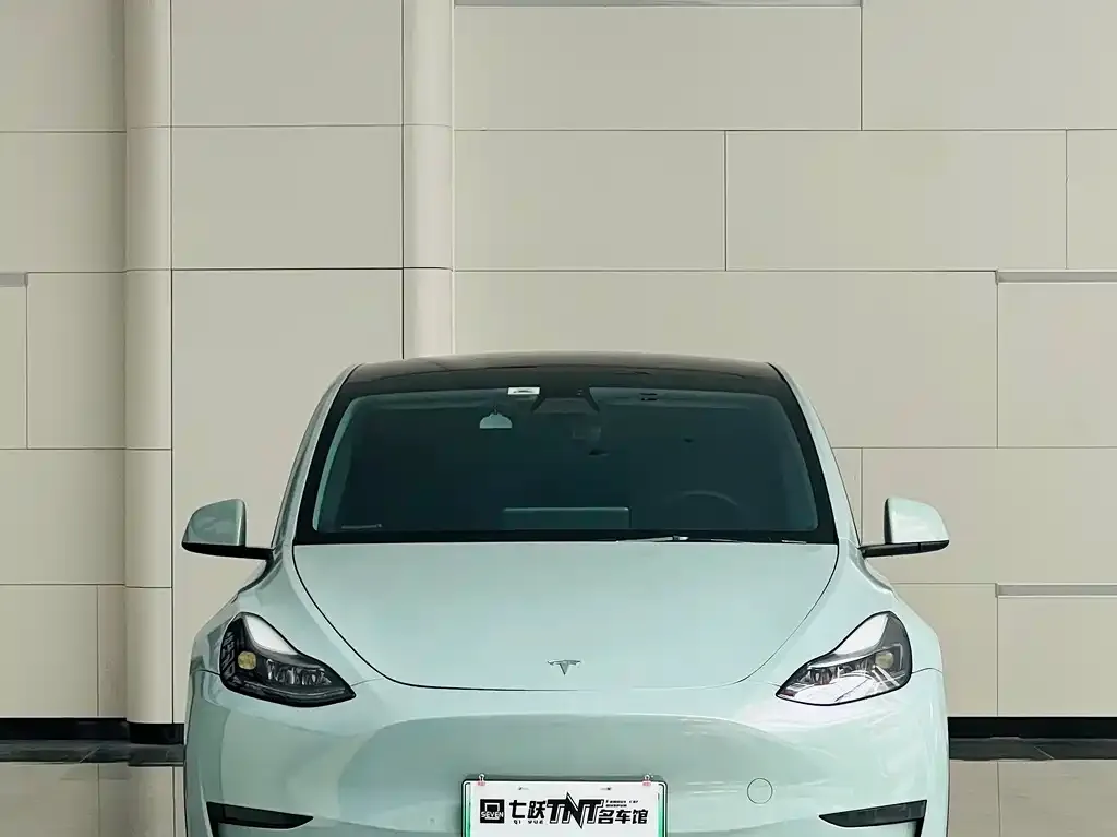Tesla Model Y — фото 2