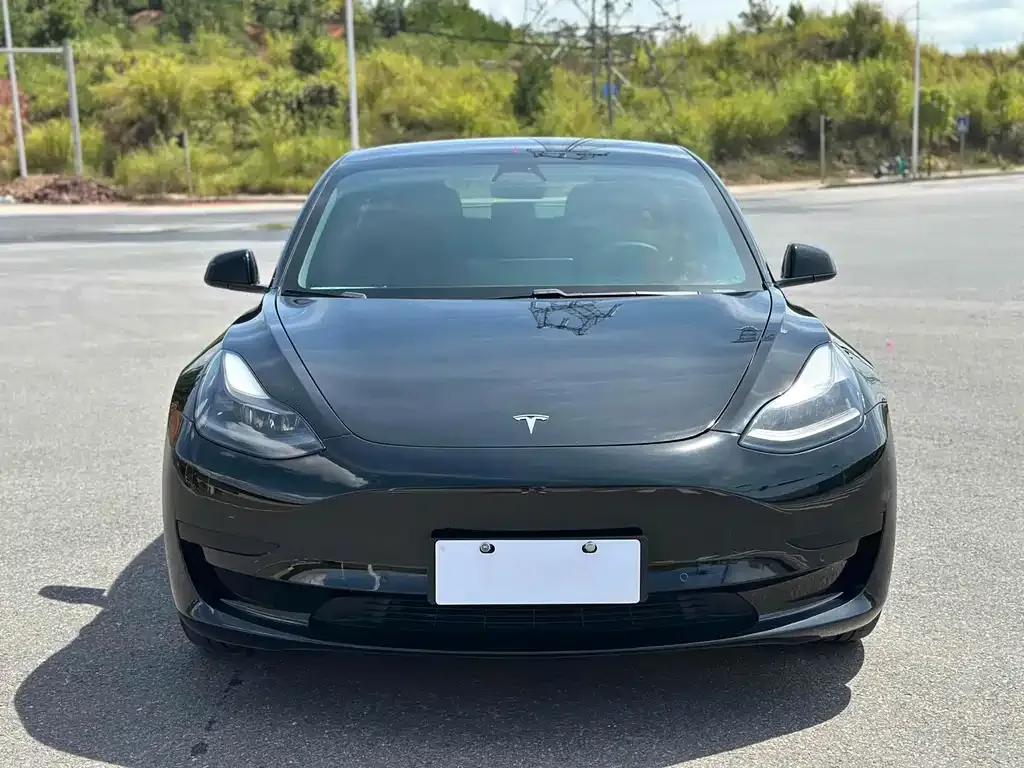 Tesla Model 3 — фото 2