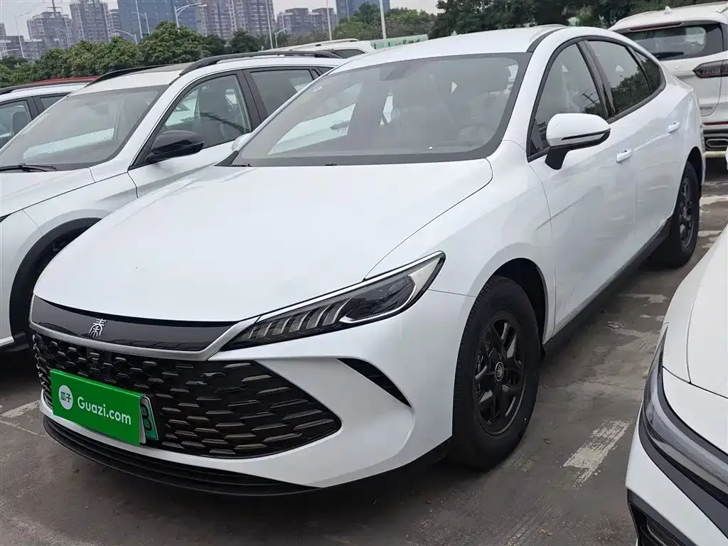 BYD Qin PLUS — фото 1
