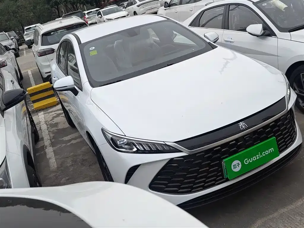 BYD Qin PLUS — фото 4