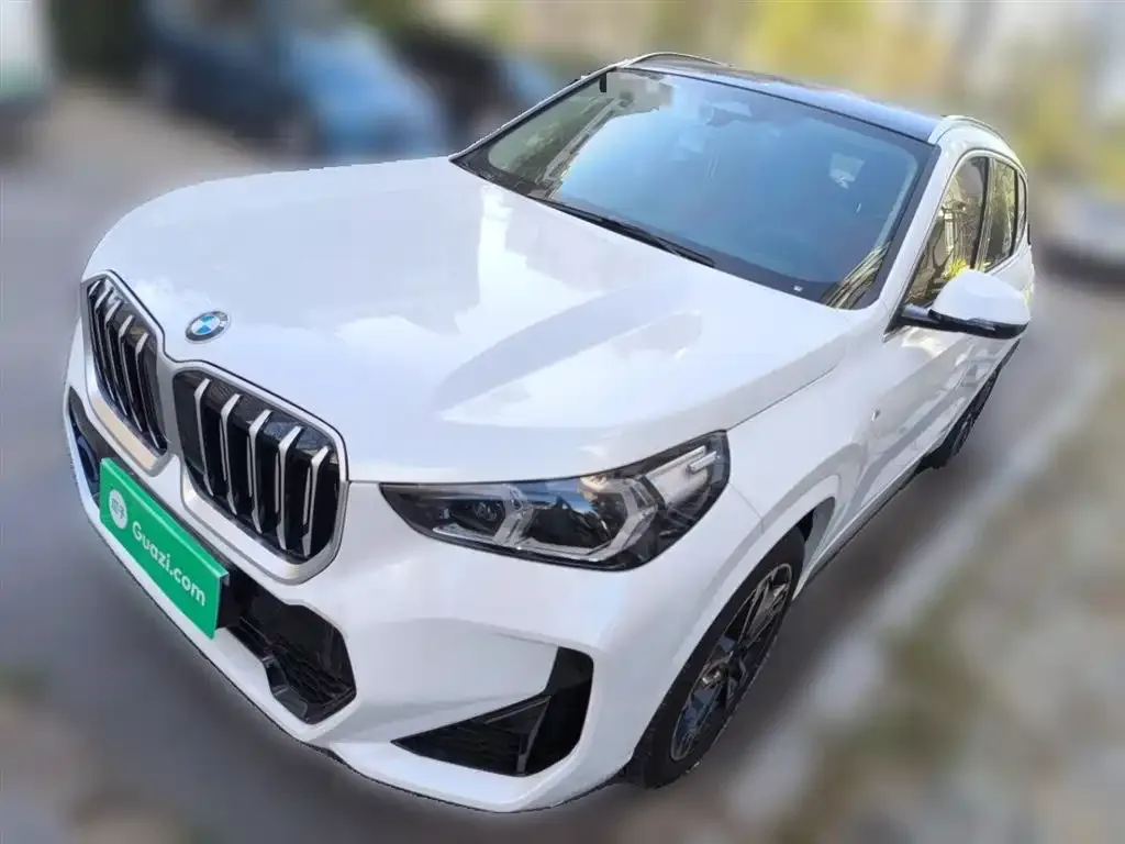 BMW X1 — фото 2