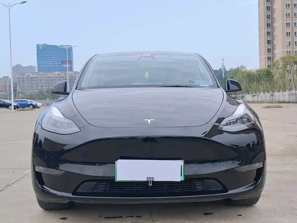 Tesla Model Y — фото 2