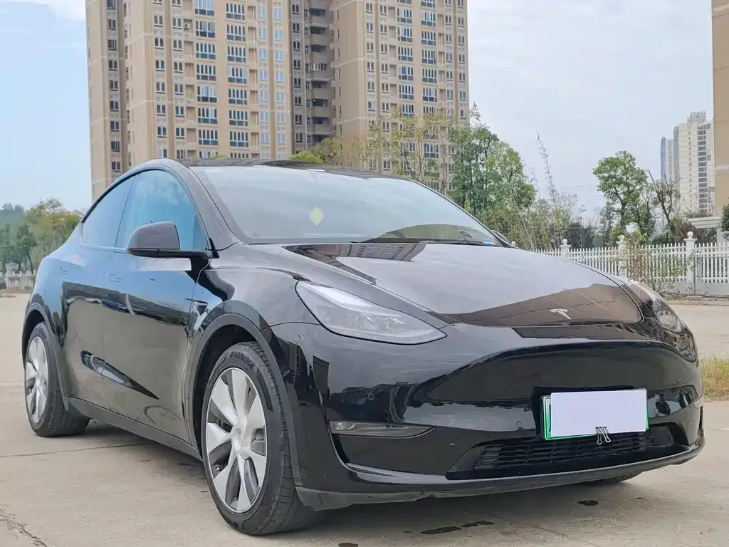 Tesla Model Y — фото 3