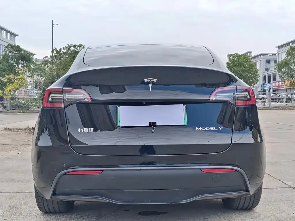 Tesla Model Y — фото 5