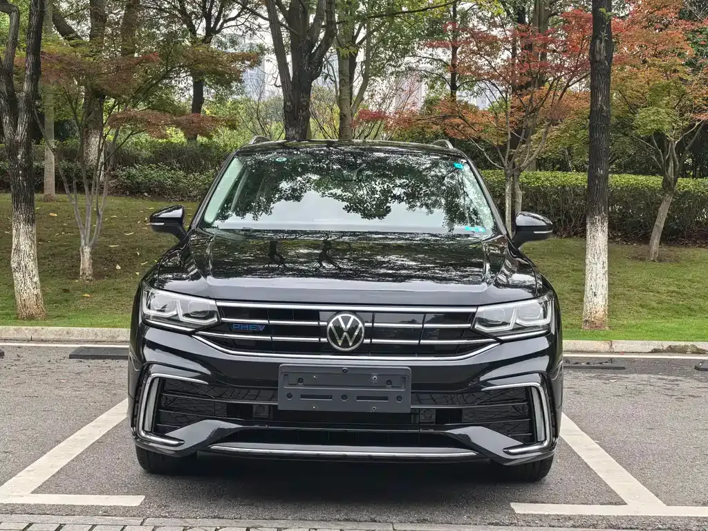Volkswagen Tiguan L New Energy — фото 2
