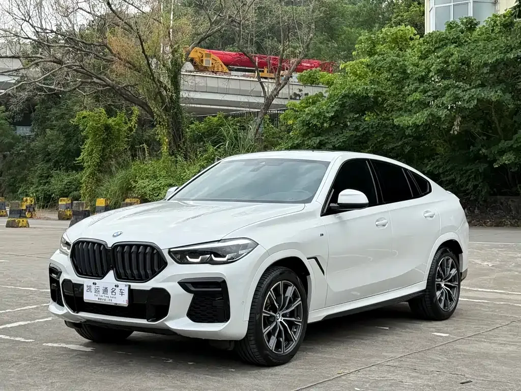 BMW X6 — фото 2