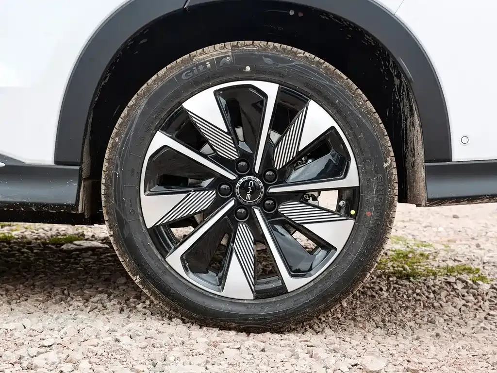 BYD PLUS New Energy — фото 10