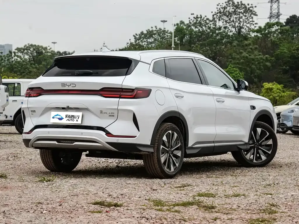 BYD PLUS New Energy — фото 3