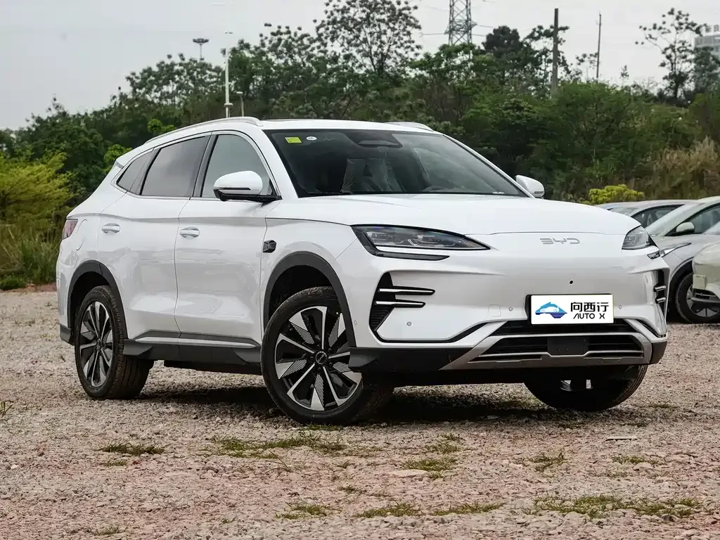BYD PLUS New Energy — фото 6
