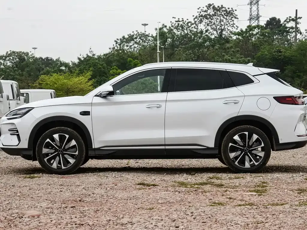 BYD PLUS New Energy — фото 8
