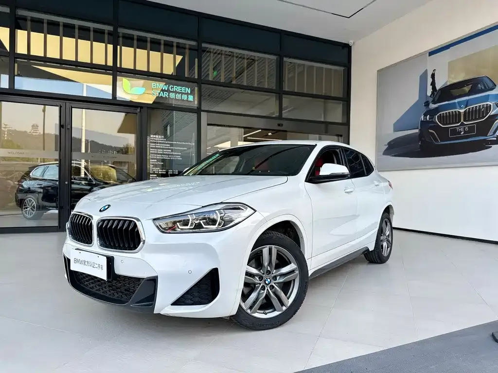 BMW X2 — фото 1