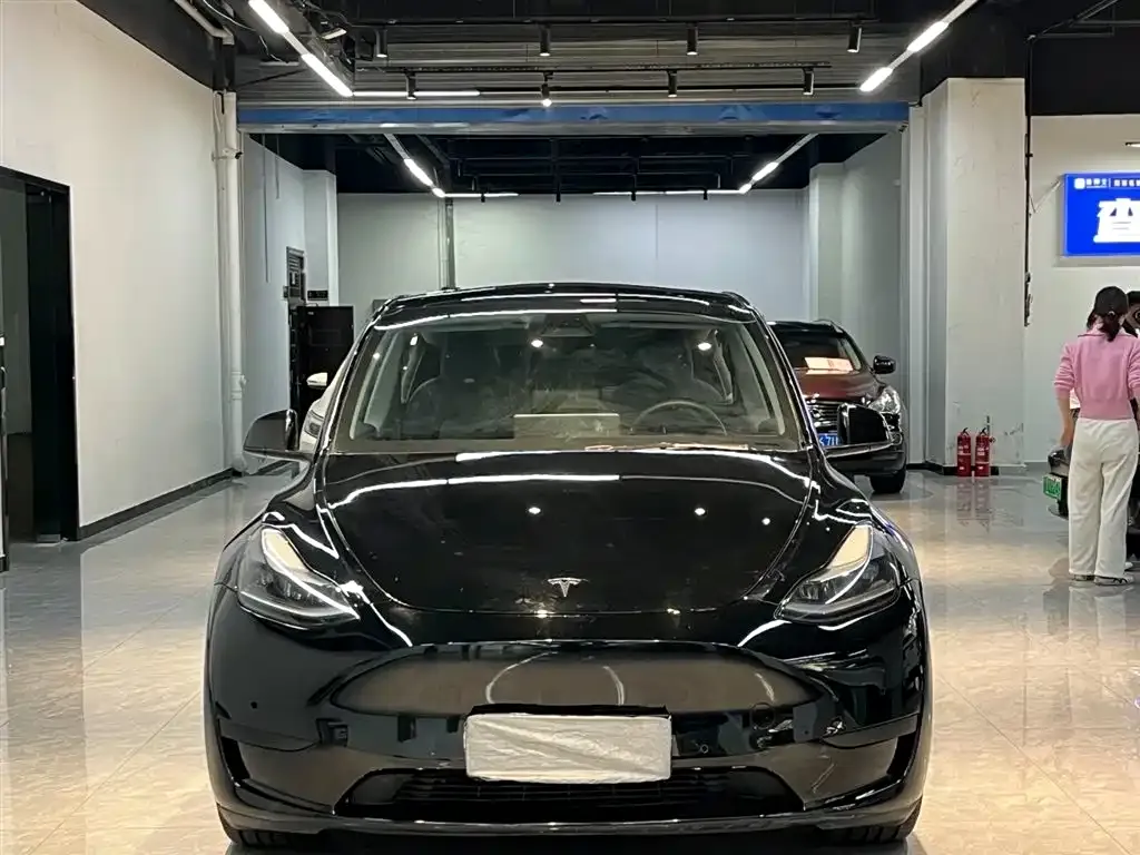 Tesla Model Y — фото 2