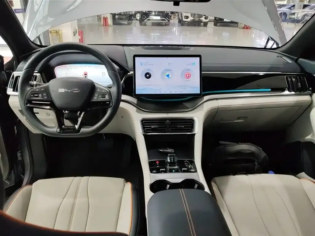 BYD PLUS New Energy — фото 10