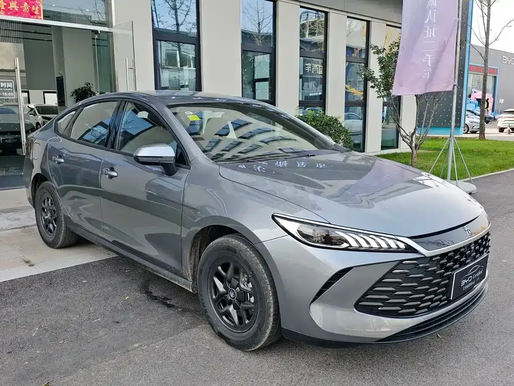 BYD Qin PLUS — фото 2