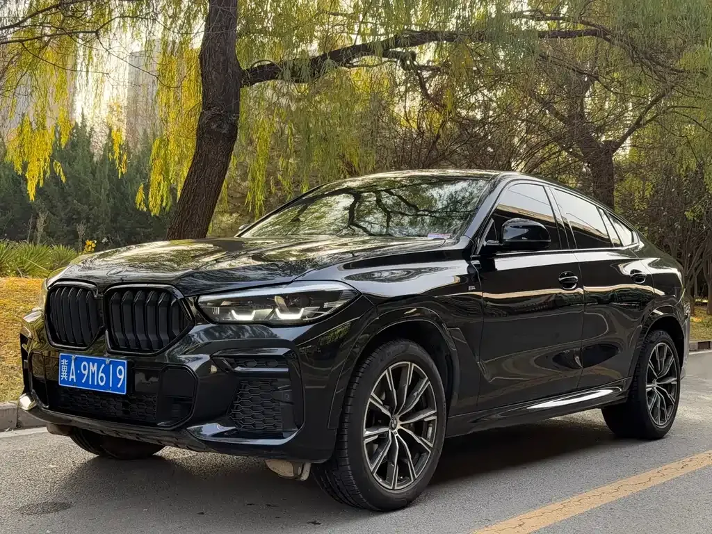 BMW X6 — фото 1