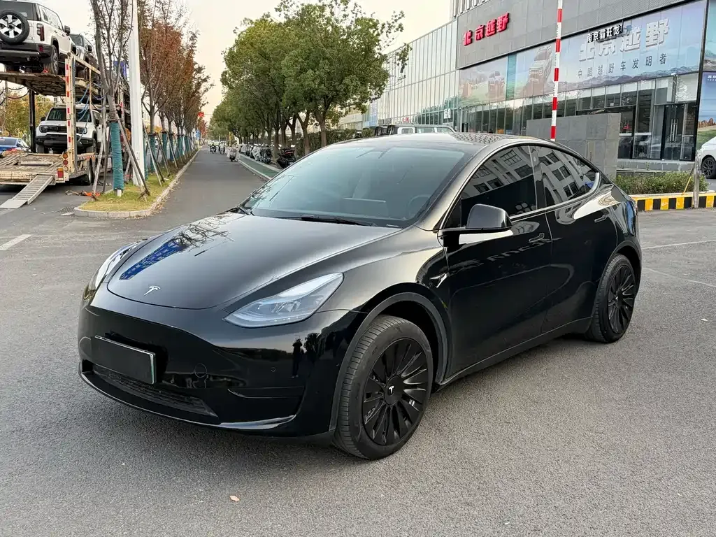 Tesla Model Y — фото 1