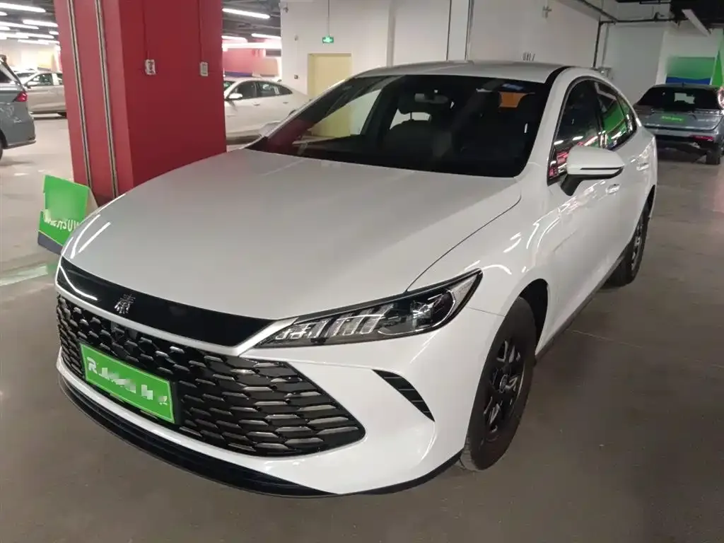 BYD Qin PLUS — фото 2