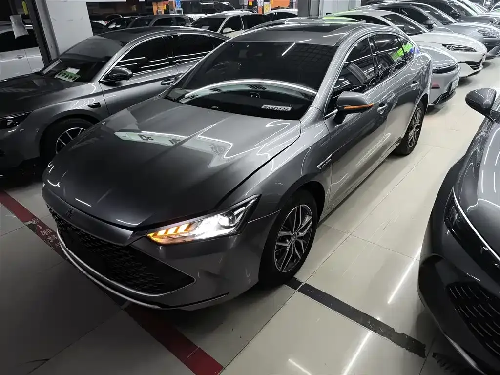 BYD Qin PLUS — фото 2