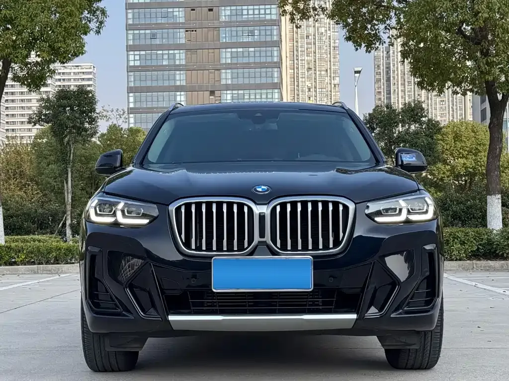 BMW X3 — фото 1