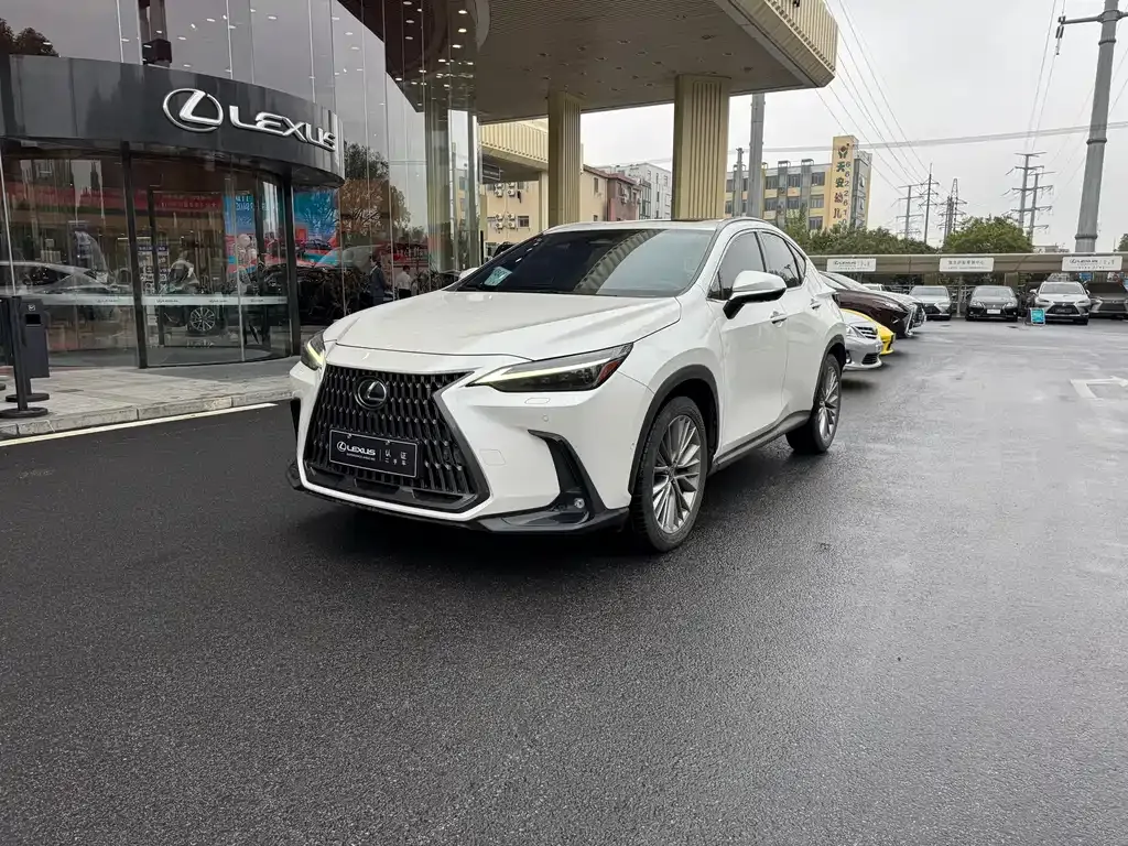 Lexus NX — фото 1