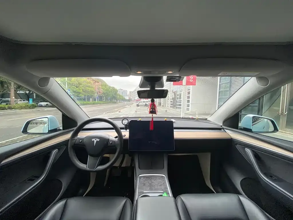 Tesla Model Y — фото 8