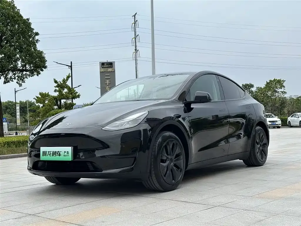 Tesla Model Y — фото 1
