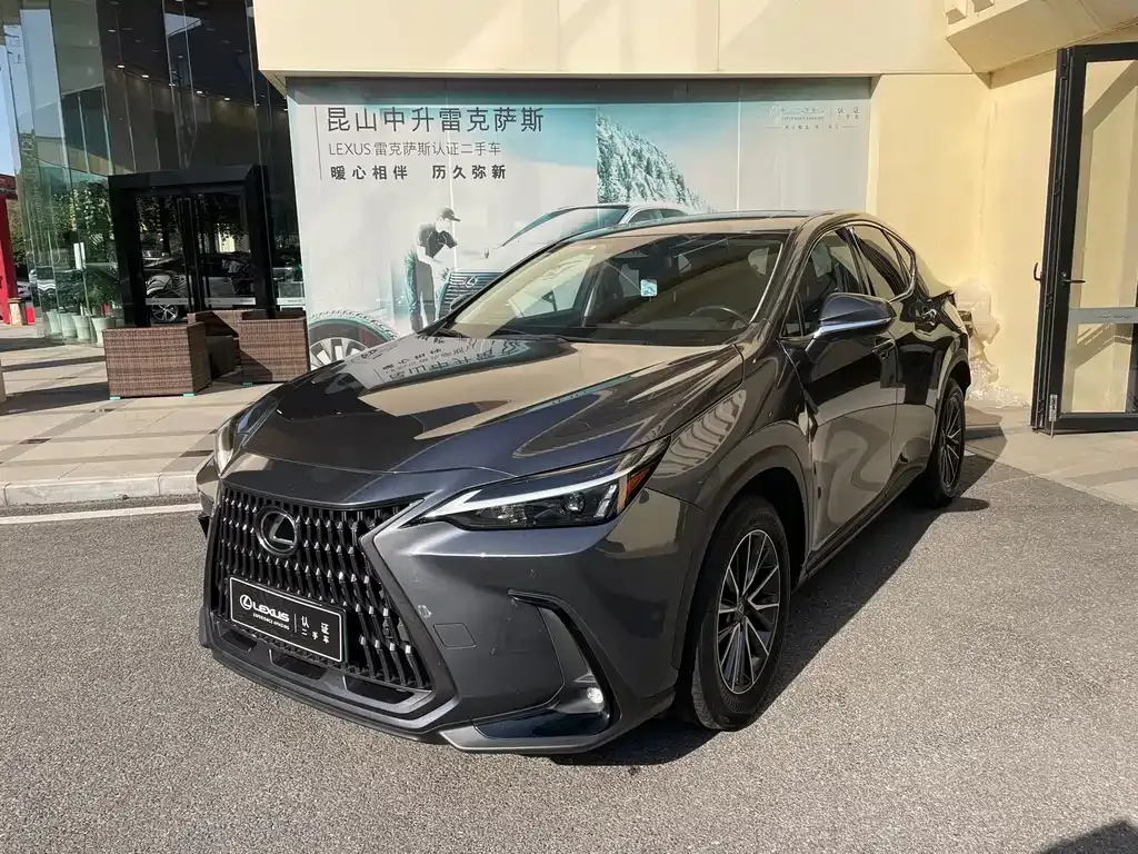 Lexus NX New Energy — фото 1