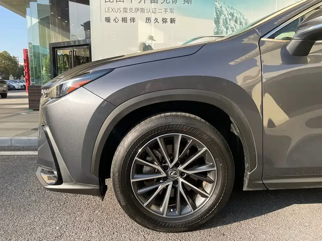 Lexus NX New Energy — фото 10