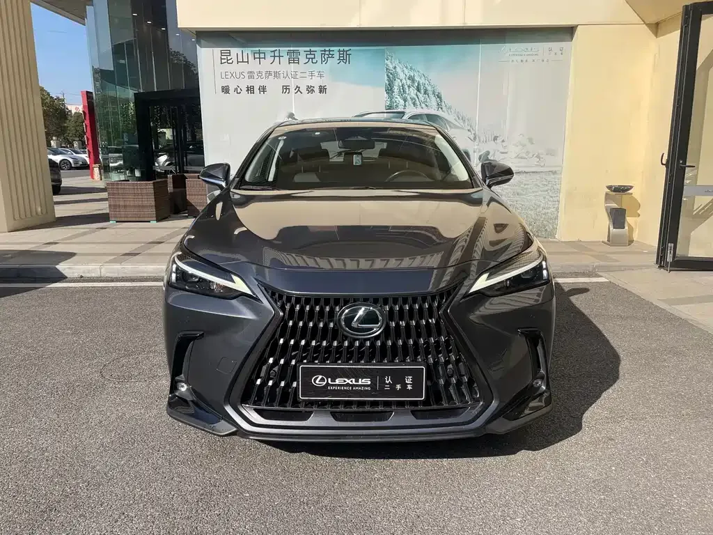 Lexus NX New Energy — фото 2