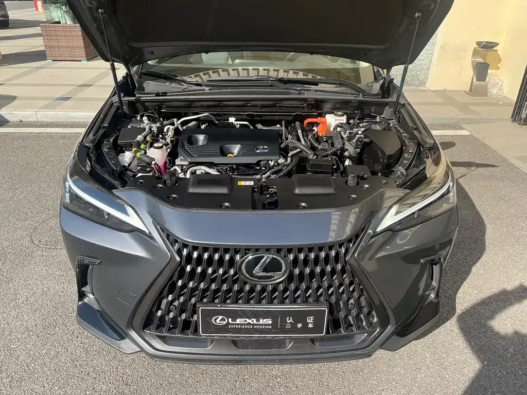 Lexus NX New Energy — фото 3