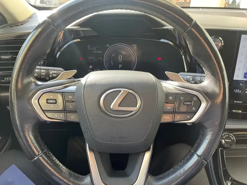 Lexus NX New Energy — фото 4