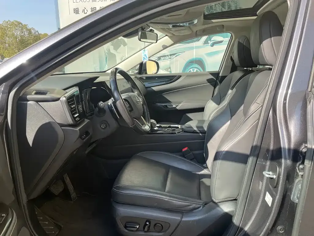 Lexus NX New Energy — фото 6