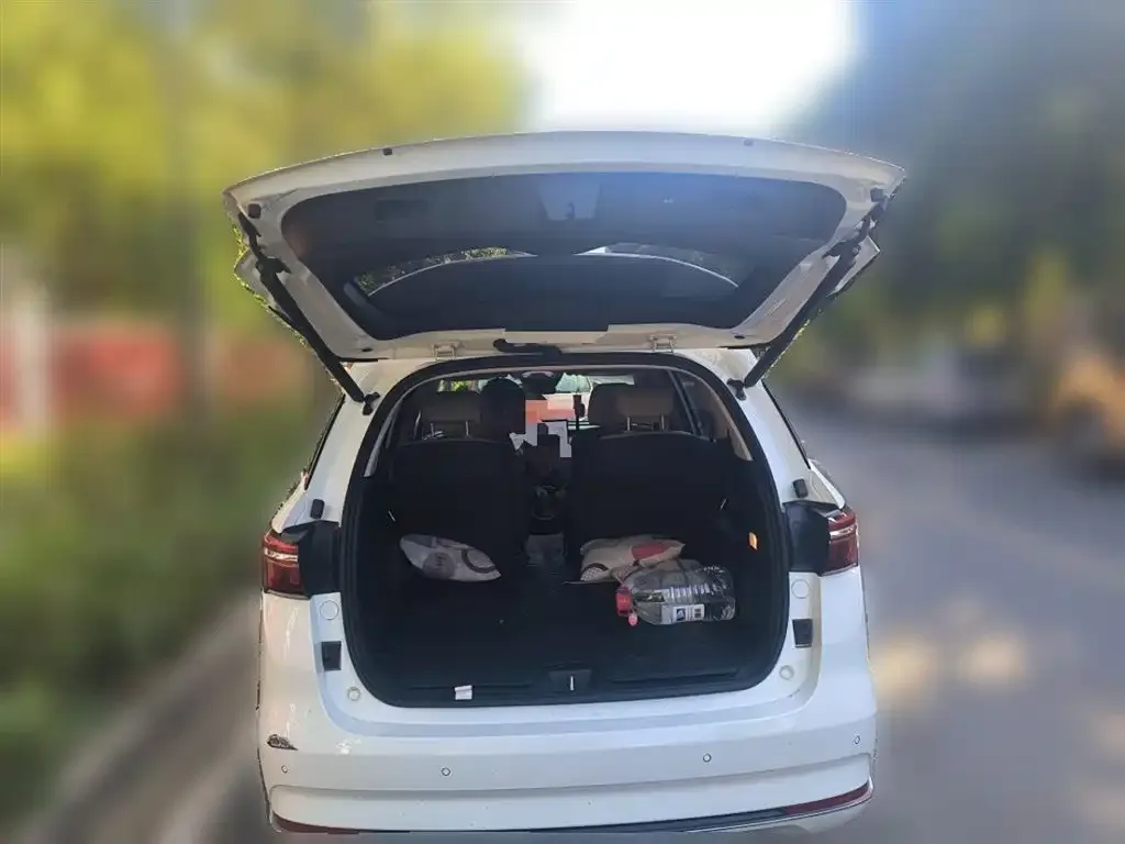BYD MAX New Energy — фото 10