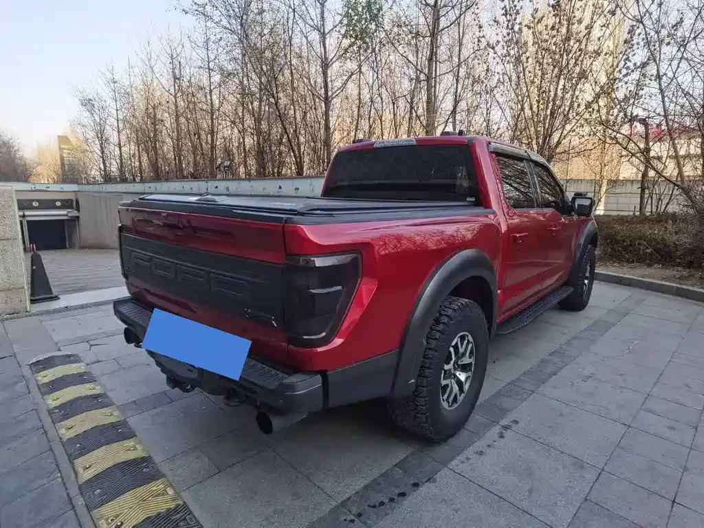 Ford F-150 Raptor — фото 9