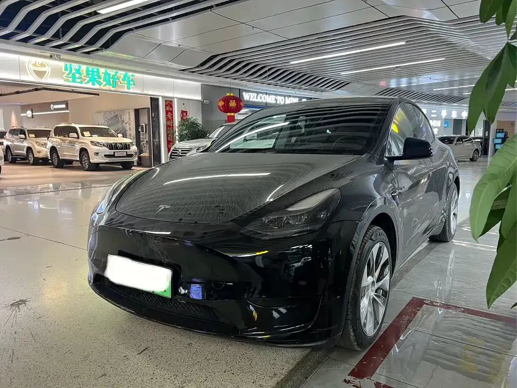 Tesla Model Y — фото 1