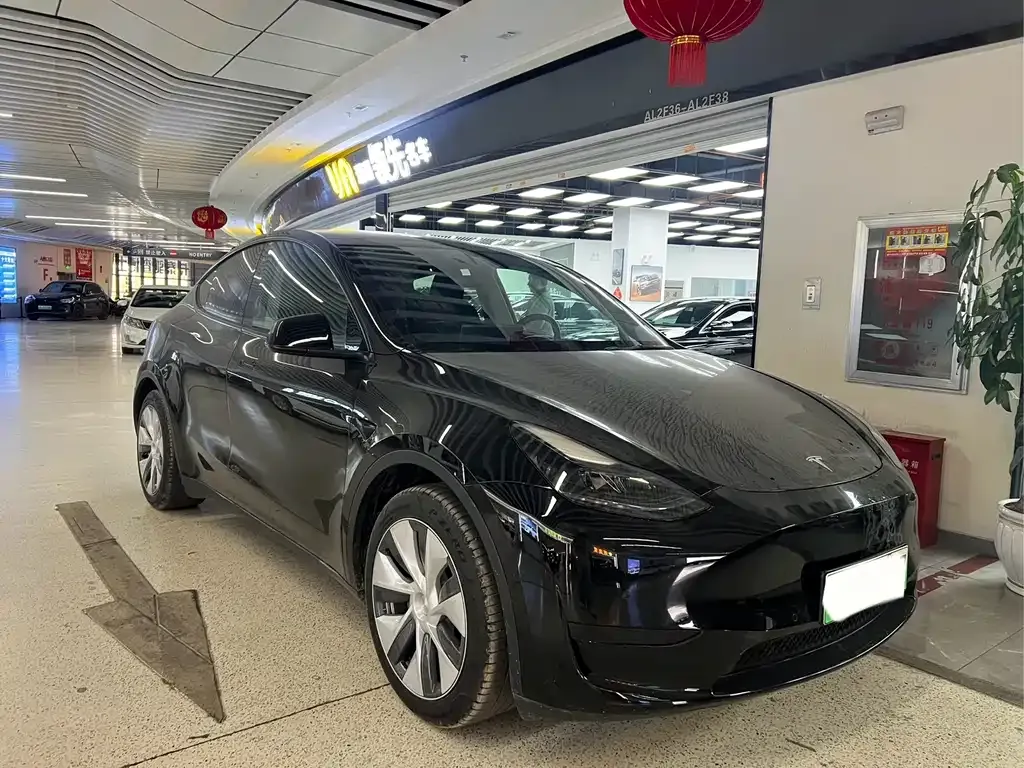 Tesla Model Y — фото 3
