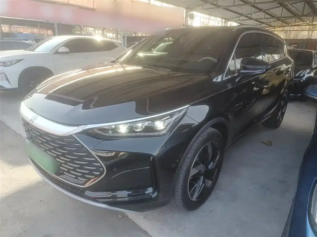 BYD Tang New Energy — фото 1