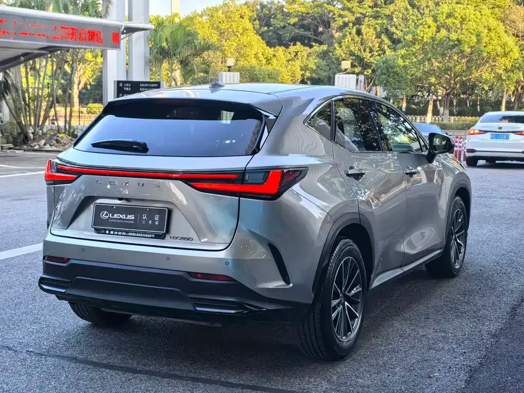 Lexus NX — фото 4